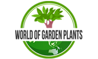 best indoor hydroponic system